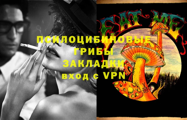 apvp Строитель