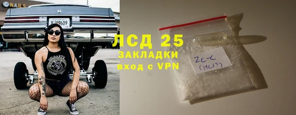 хмурый Тавда