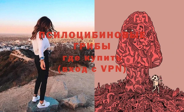 a pvp Струнино