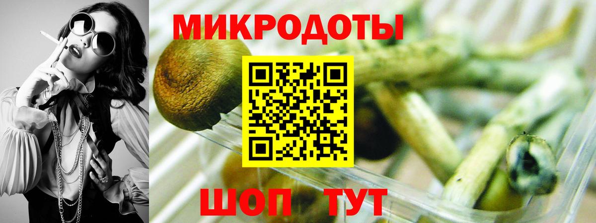 наркота  Вход с VPN  Сунжа  Псилоцибиновые грибы Magic Shrooms  Псилоцибиновые грибы мицелий 
