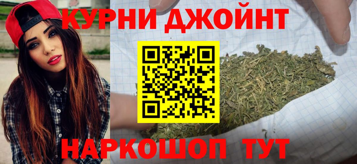 Канабис гибрид  Вход с VPN  Сунжа  Шишки марихуана семена 
