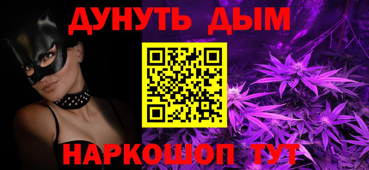 Бошки марихуана гибрид  Сунжа  Каннабис планчик  Бошки Шишки SATIVA & INDICA  Каннабис White Widow 