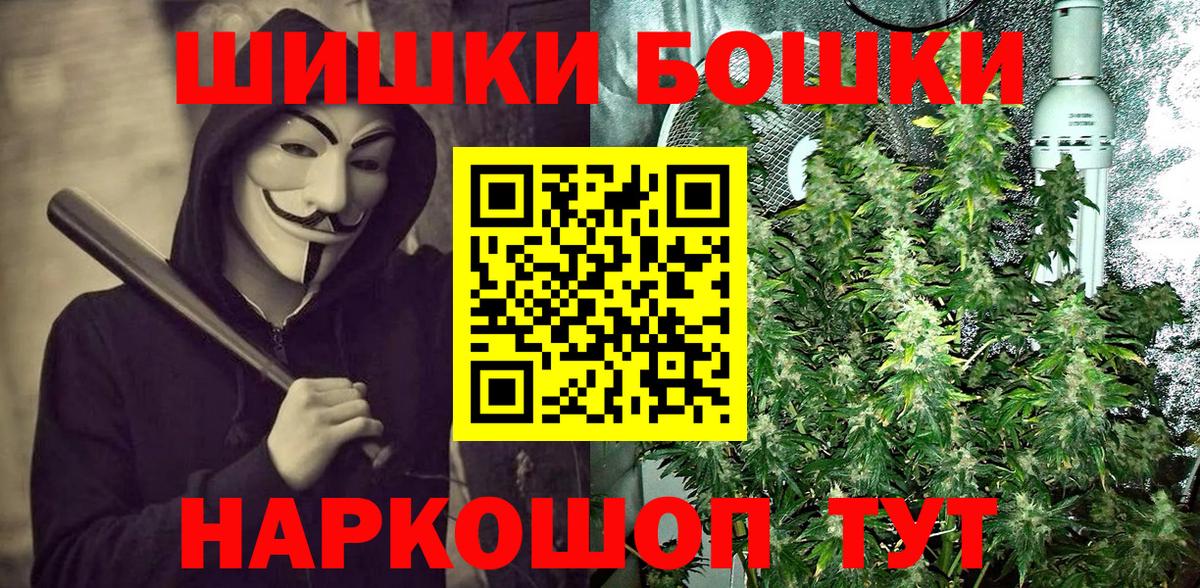Конопля гибрид Сунжа